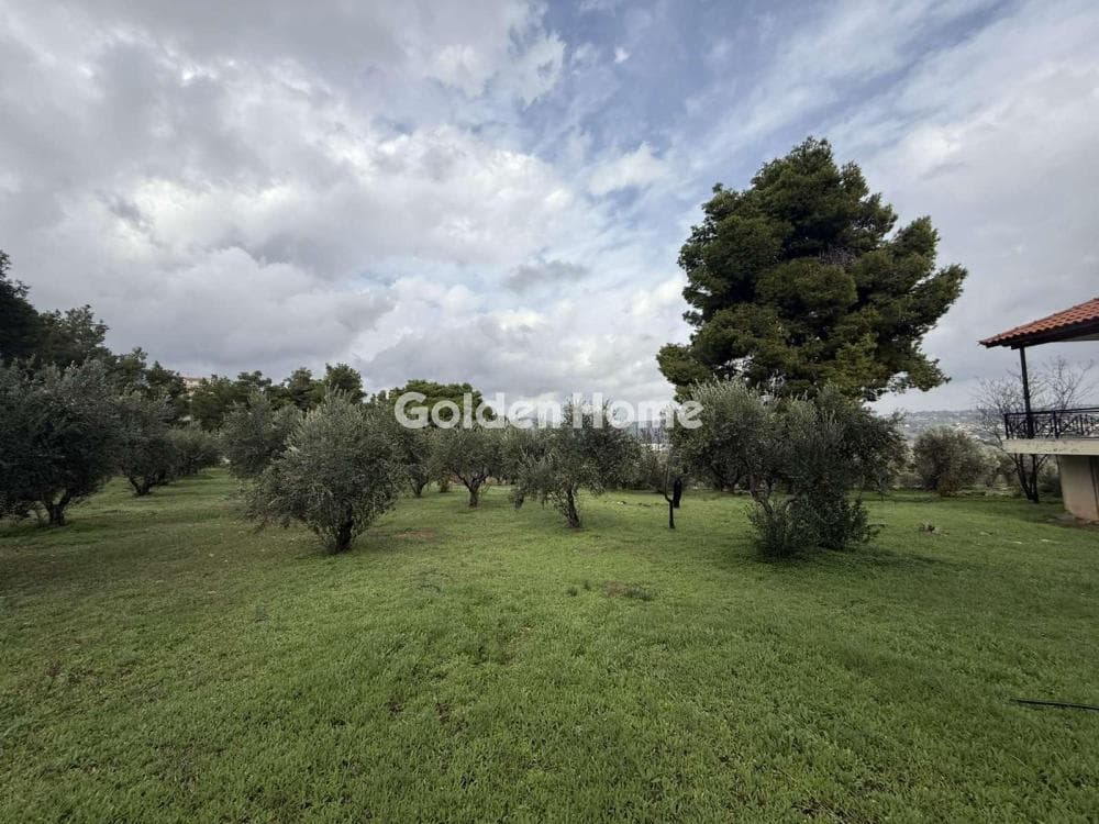 Parcel in Poligono, Poligono - Tourkovounia
