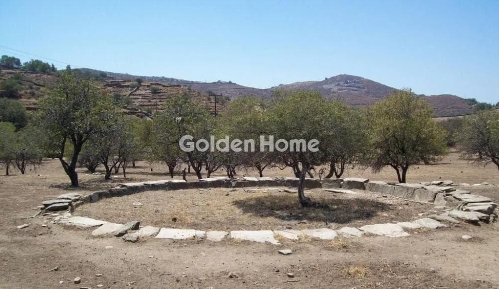 Αγροτεμάχιο στην Οτζιάς, Κέα — Φωτογραφία 7 από 10