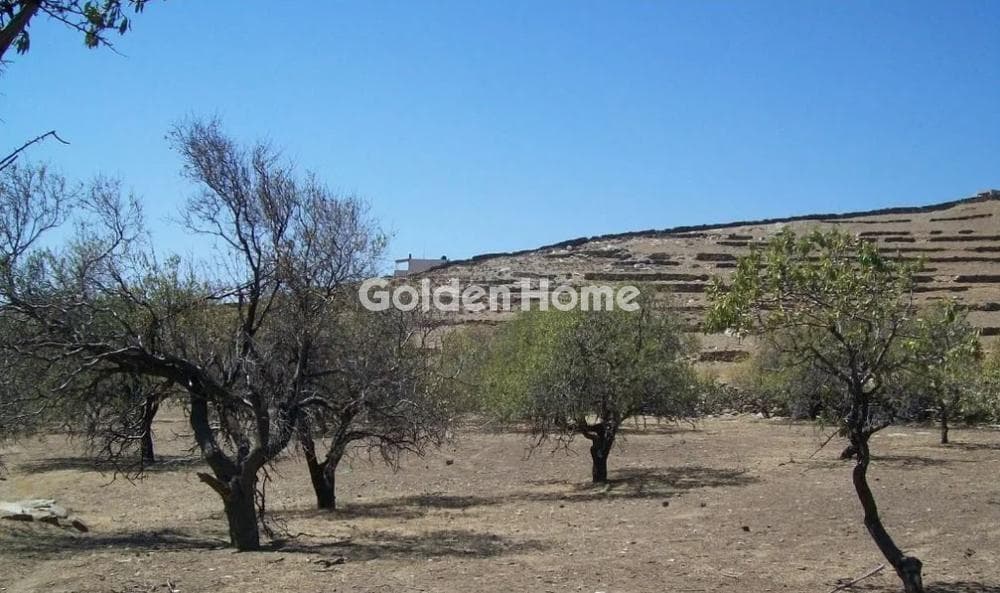 Αγροτεμάχιο στην Οτζιάς, Κέα — Φωτογραφία 9 από 10
