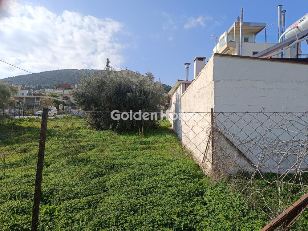 Οικόπεδο στην Βορινέζα, Αρτέμιδα (Λούτσα) — Φωτογραφία 2 από 6