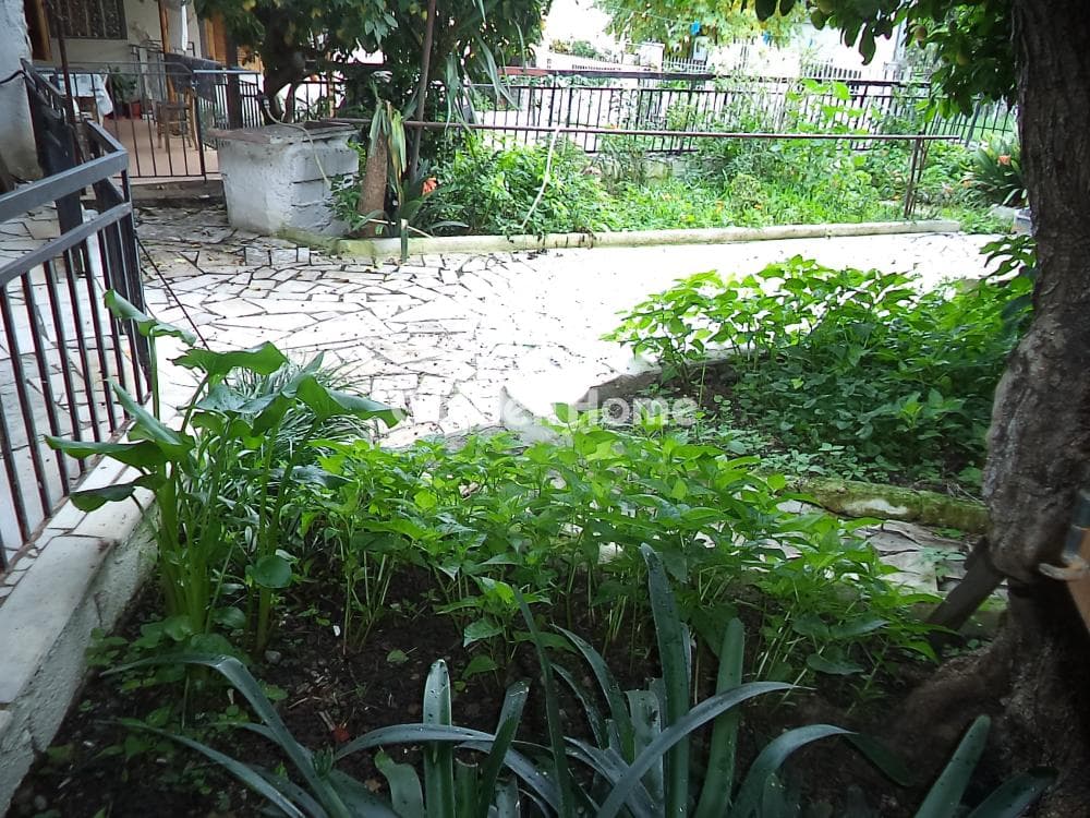 House in Rizomilos, Diakopto — Photo 6 of 14
