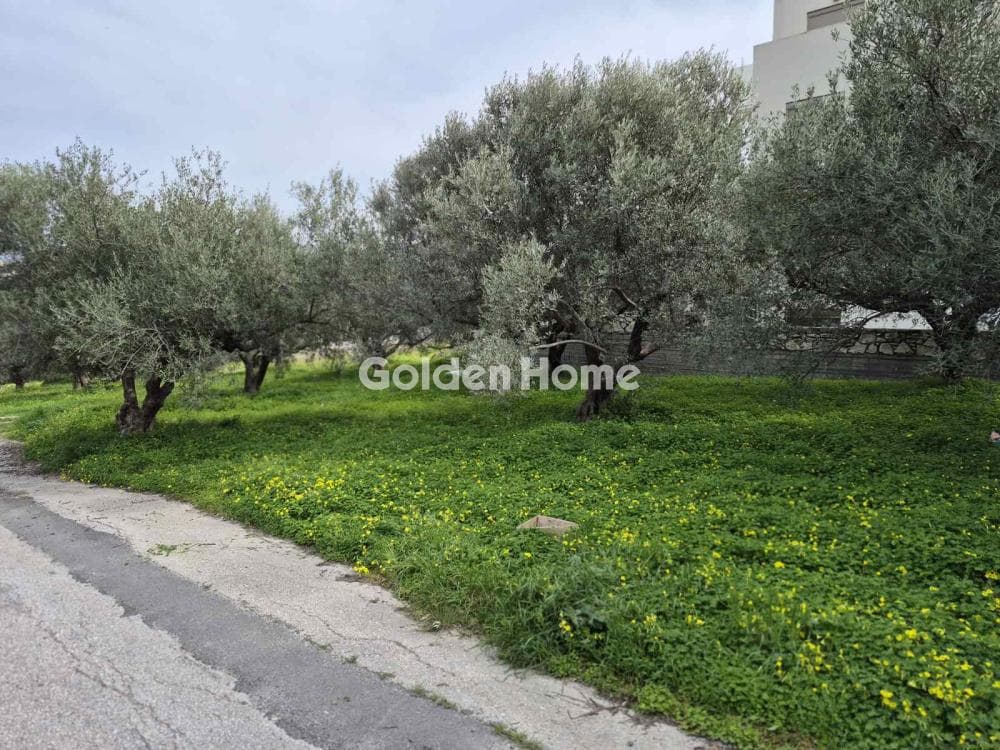 Building Plot in Poros, Heraclion Cretes — Photo 6 of 8