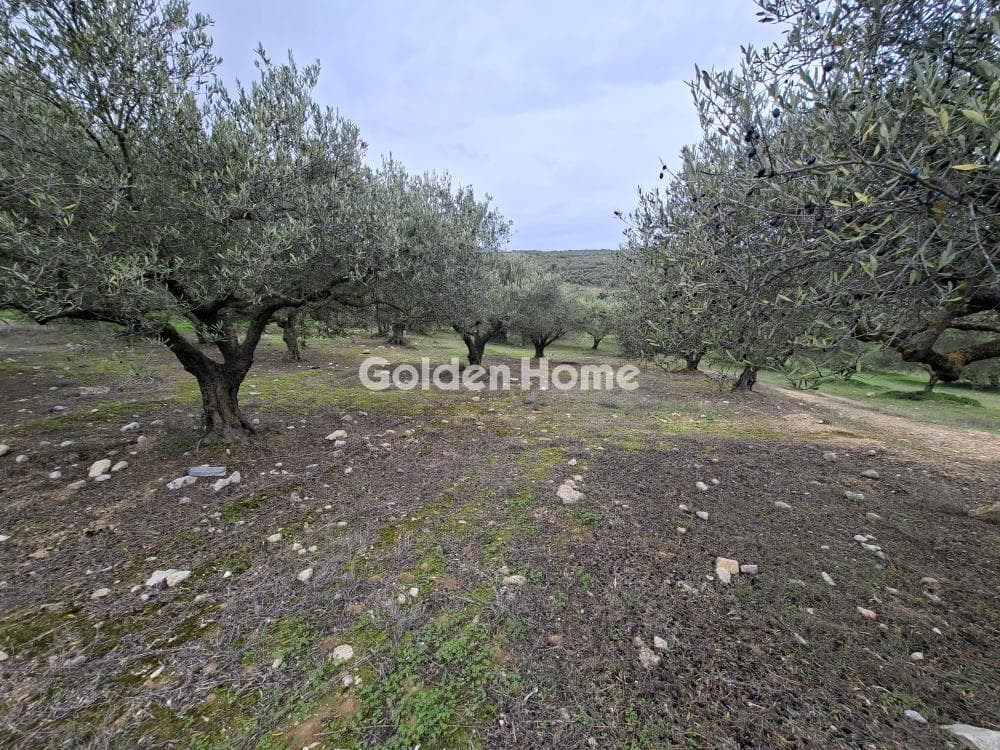 Parcel in Mousouta, Arkalochori — Photo 15 of 23