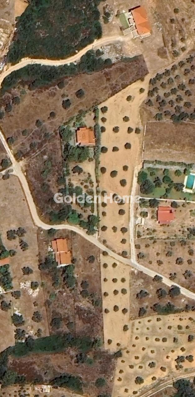 Αγροτεμάχιο στην Γραμματικό - Κέντρο, Γραμματικό — Φωτογραφία 1 από 2