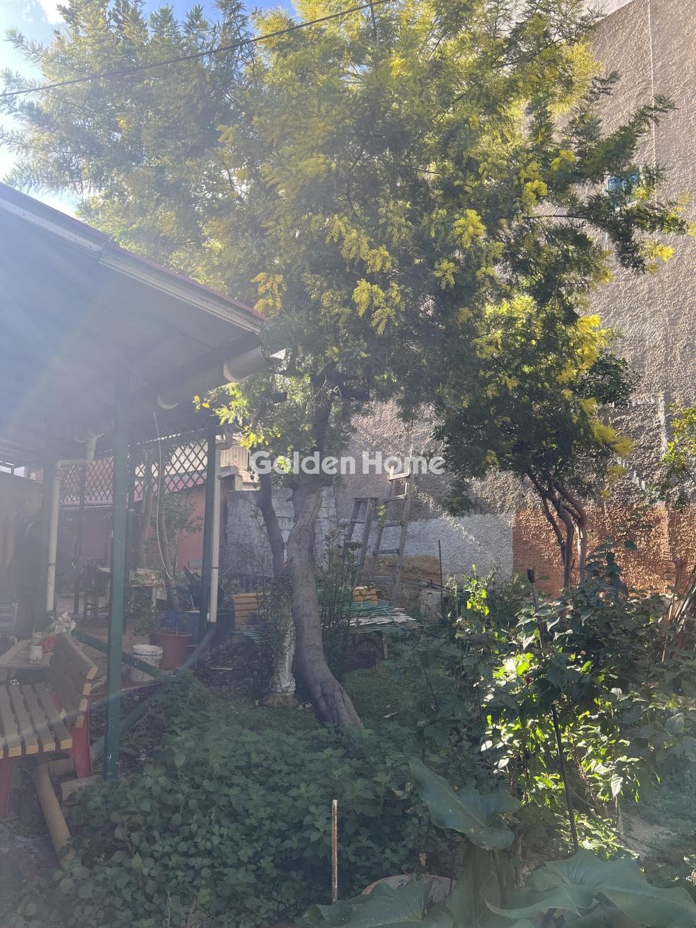 House in Zofria, Zefiri — Photo 22 of 23