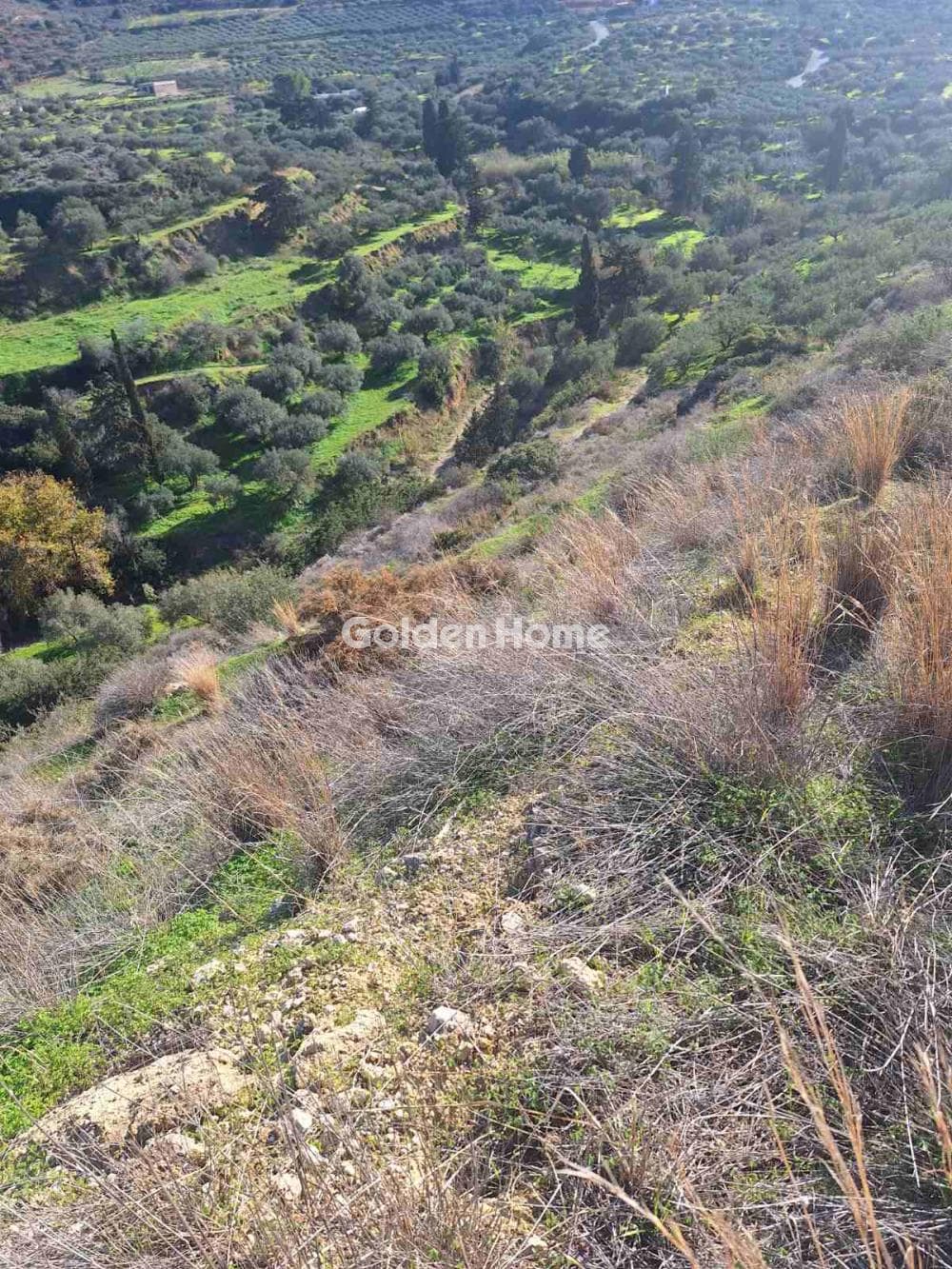 Οικόπεδο στην Σκοτεινό, Γούβες — Φωτογραφία 1 από 6