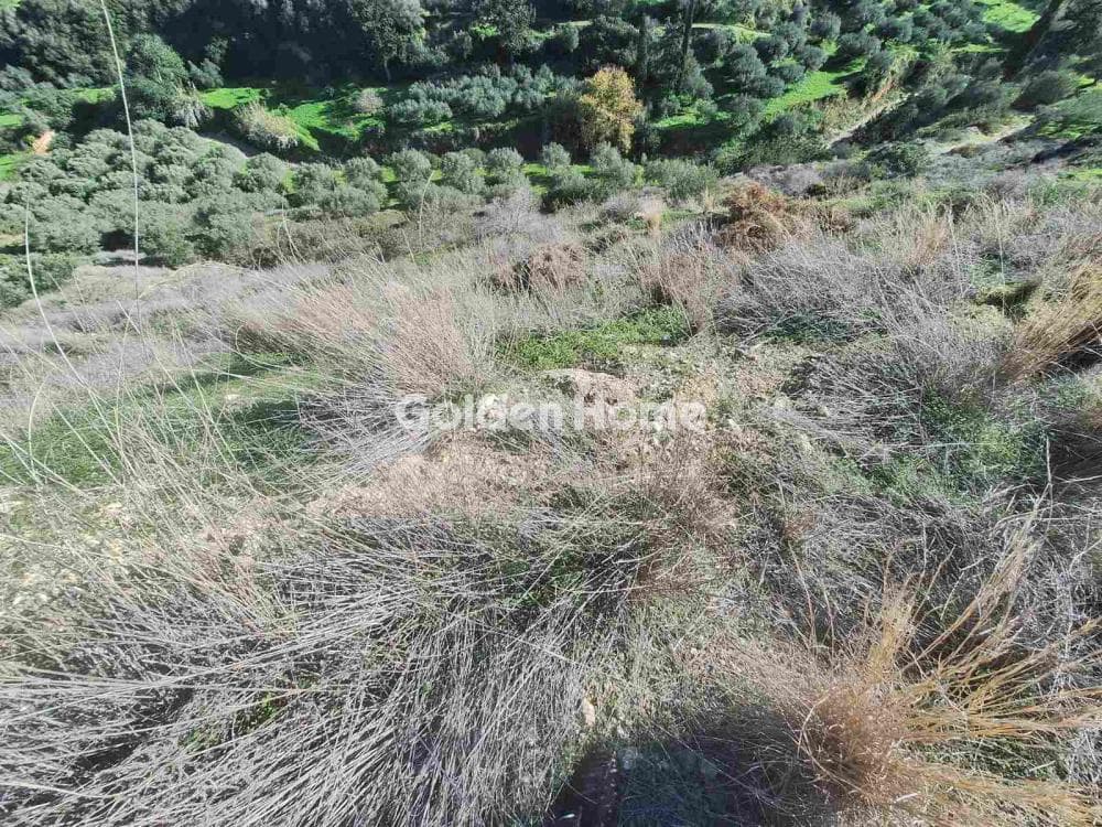 Οικόπεδο στην Σκοτεινό, Γούβες — Φωτογραφία 5 από 6
