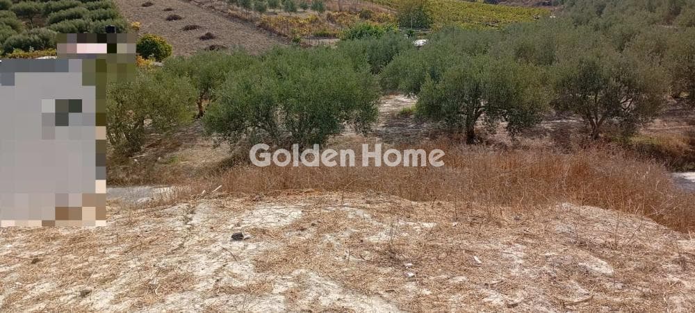 Οικόπεδο στην Δαφνές, Τετραχώρι — Φωτογραφία 2 από 6