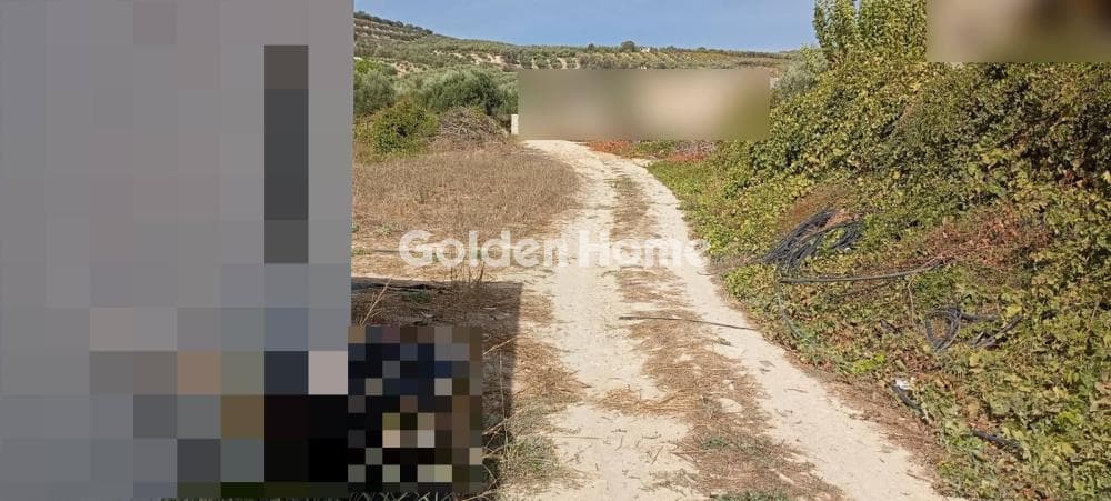 Οικόπεδο στην Δαφνές, Τετραχώρι — Φωτογραφία 3 από 6