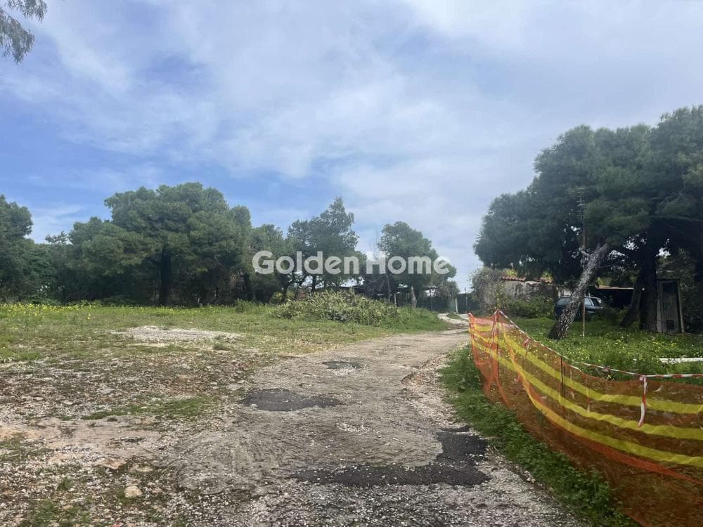 Αγροτεμάχιο στην Νηρέας, Ραφήνα — Φωτογραφία 7 από 8