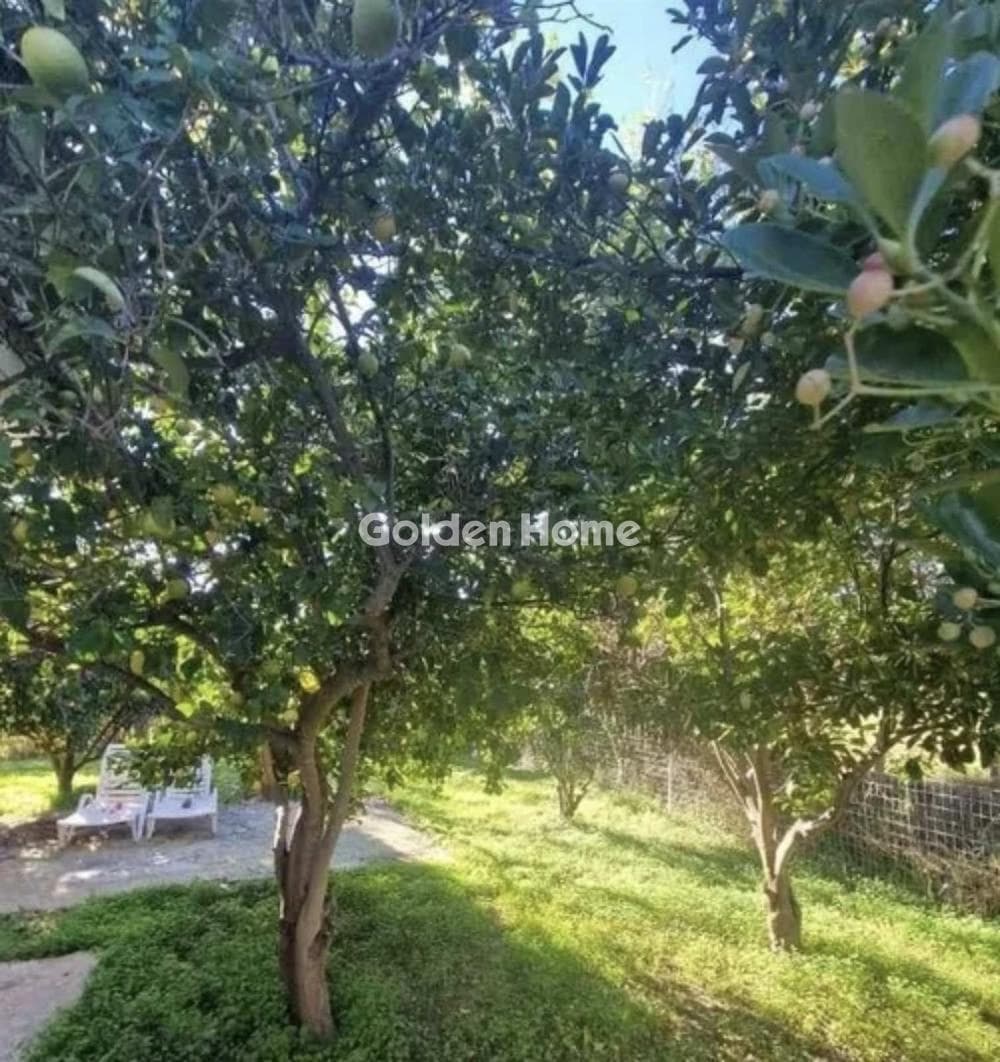 Μονοκατοικία στην Βαλιμίτικα, Αίγιο — Φωτογραφία 19 από 19
