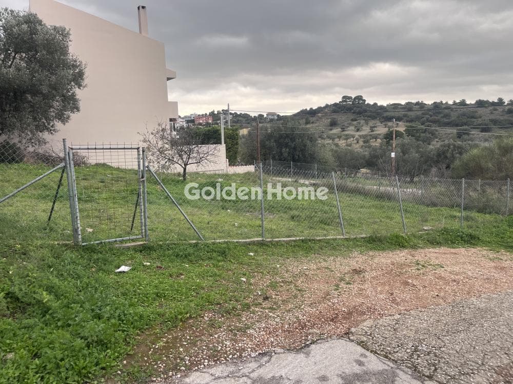 Building Plot in Limni Markopoulou, Markopoulo — Photo 5 of 11