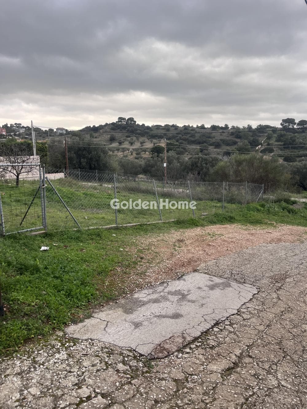 Building Plot in Limni Markopoulou, Markopoulo — Photo 4 of 11