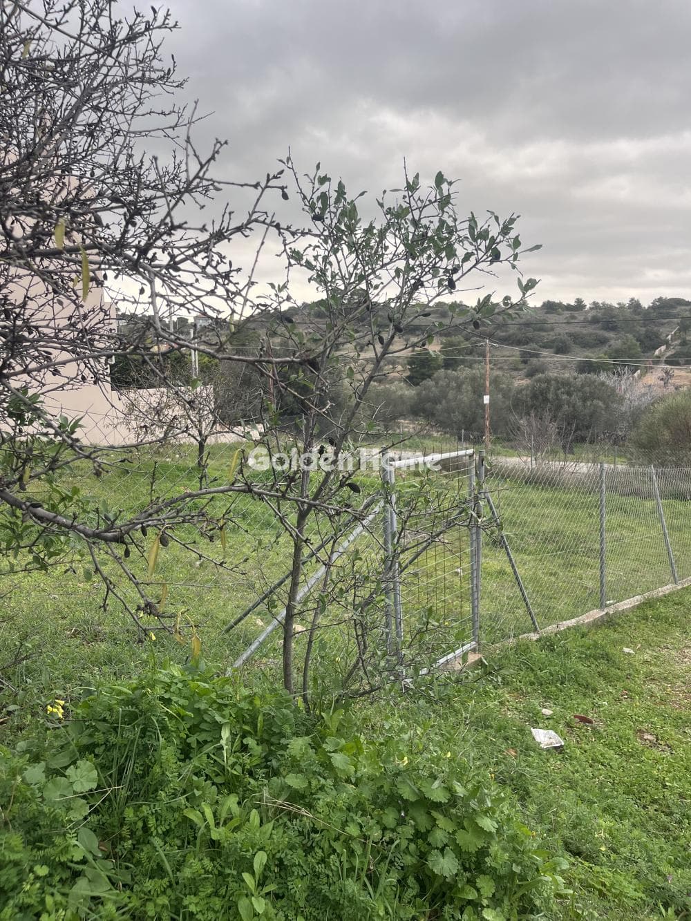 Building Plot in Limni Markopoulou, Markopoulo — Photo 1 of 11