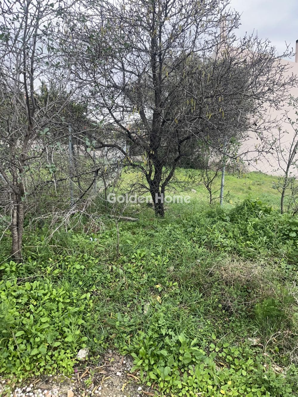 Building Plot in Limni Markopoulou, Markopoulo — Photo 3 of 11