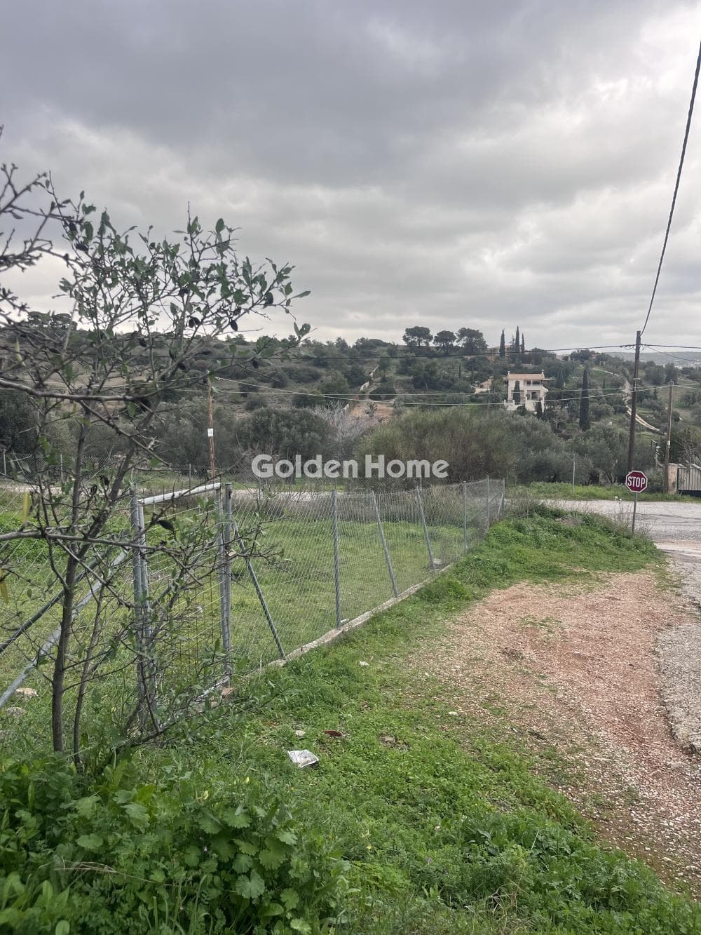 Building Plot in Limni Markopoulou, Markopoulo — Photo 2 of 11