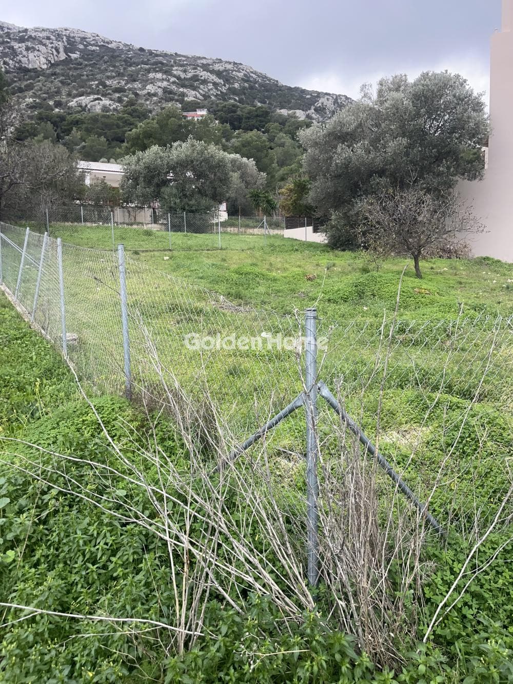 Building Plot in Limni Markopoulou, Markopoulo — Photo 10 of 11