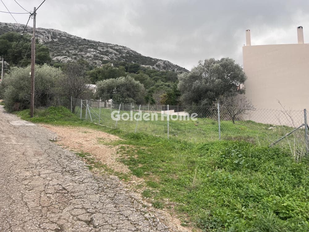 Building Plot in Limni Markopoulou, Markopoulo — Photo 11 of 11