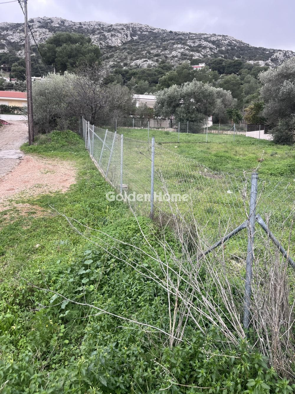 Building Plot in Limni Markopoulou, Markopoulo — Photo 9 of 11