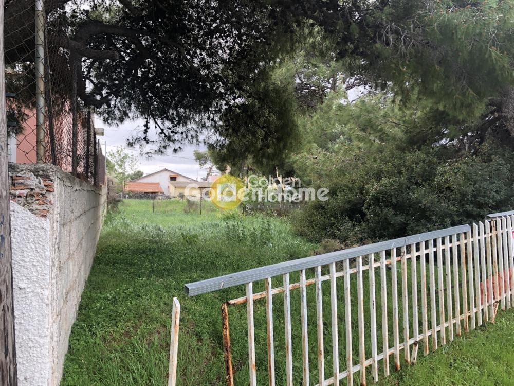 Αγροτεμάχιο στην Νέα Παλλήνη, Παλλήνη — Φωτογραφία 4 από 4
