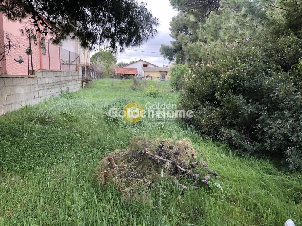 Αγροτεμάχιο στην Νέα Παλλήνη, Παλλήνη — Φωτογραφία 1 από 4