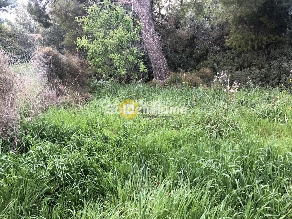 Αγροτεμάχιο στην Νέα Παλλήνη, Παλλήνη — Φωτογραφία 3 από 4