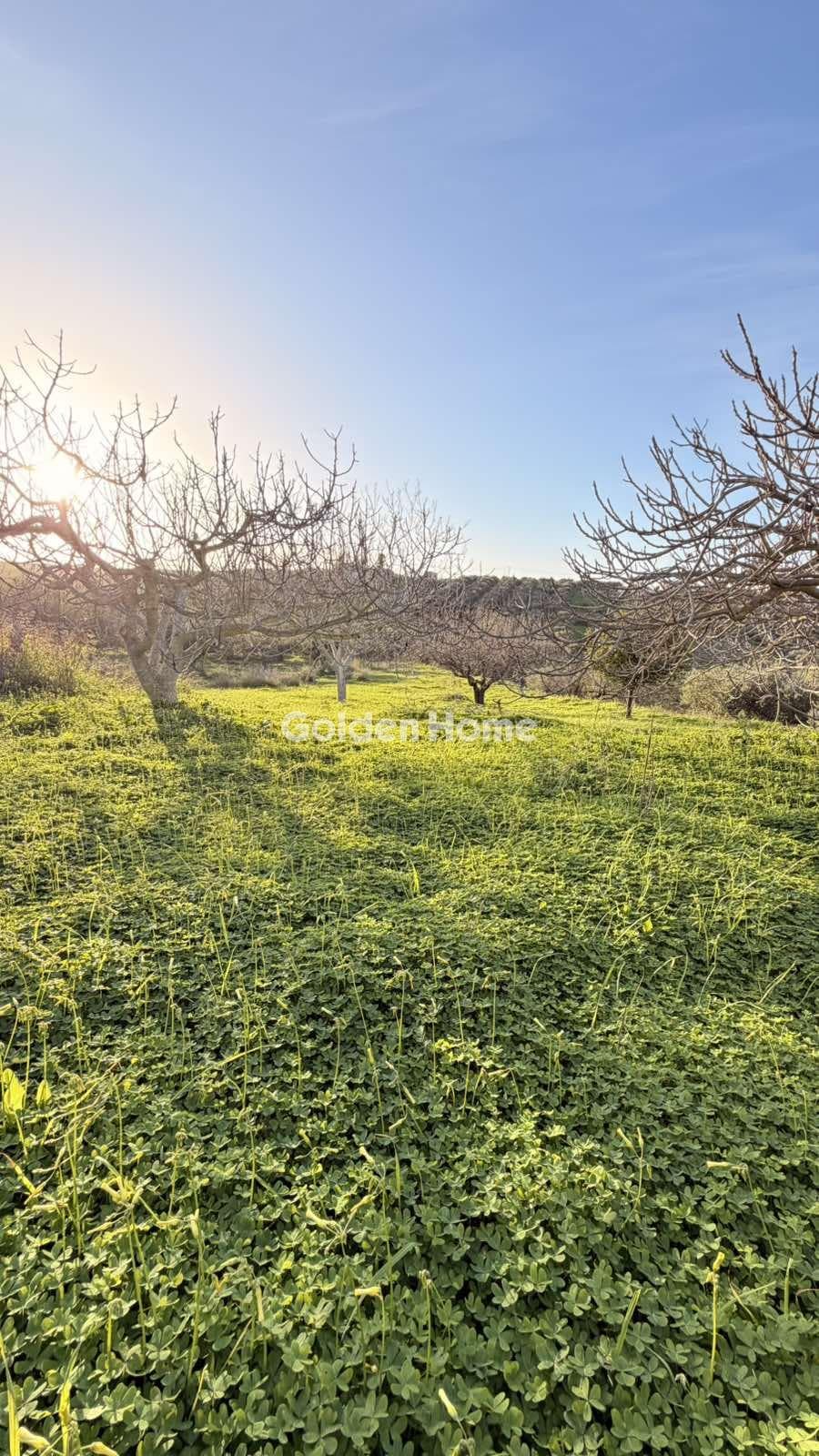 Building Plot in Epano Vatheia, Episkopi — Photo 18 of 21