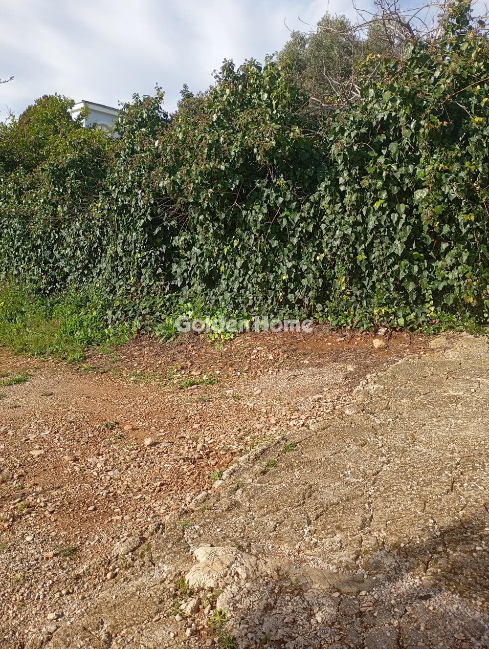 Οικόπεδο στην Βορινέζα, Αρτέμιδα (Λούτσα) — Φωτογραφία 1 από 5