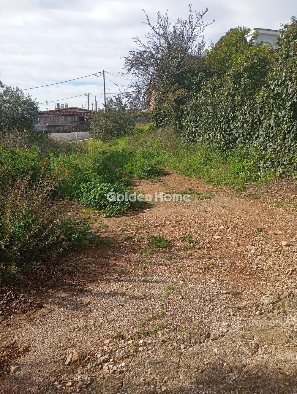 Οικόπεδο στην Βορινέζα, Αρτέμιδα (Λούτσα) — Φωτογραφία 2 από 5