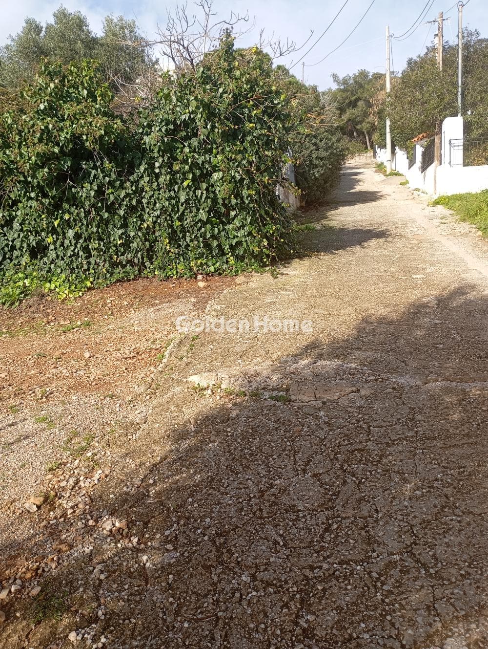 Οικόπεδο στην Βορινέζα, Αρτέμιδα (Λούτσα) — Φωτογραφία 4 από 5