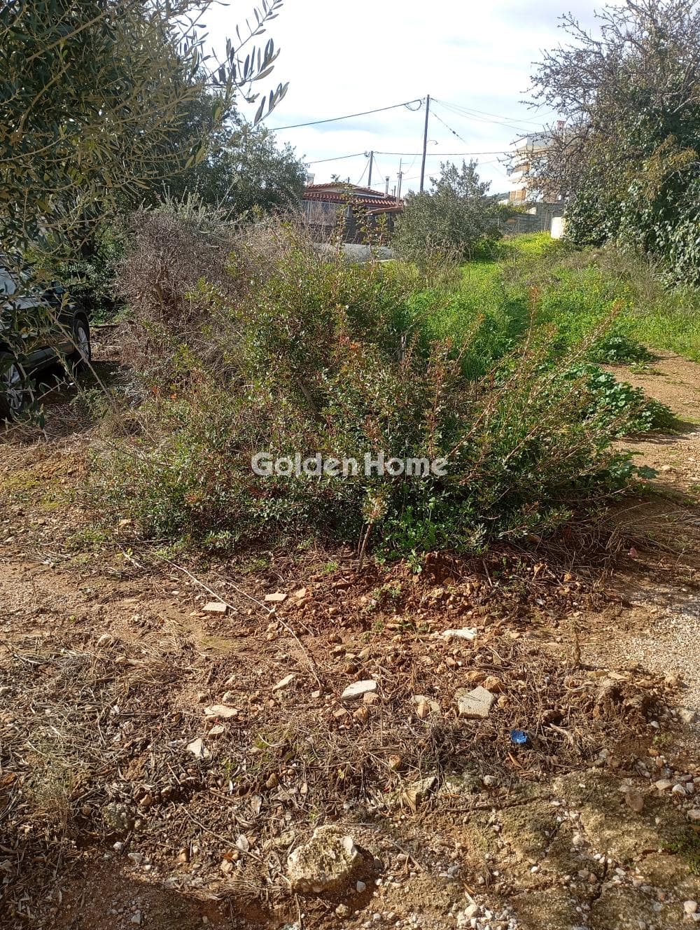 Οικόπεδο στην Βορινέζα, Αρτέμιδα (Λούτσα) — Φωτογραφία 5 από 5
