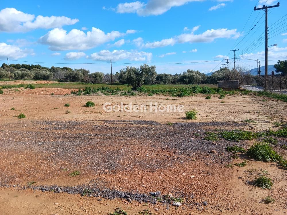 Parcel in Karelas, Paiania — Photo 2 of 2