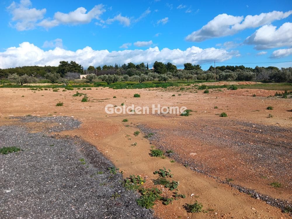 Parcel in Karelas, Paiania — Photo 1 of 2