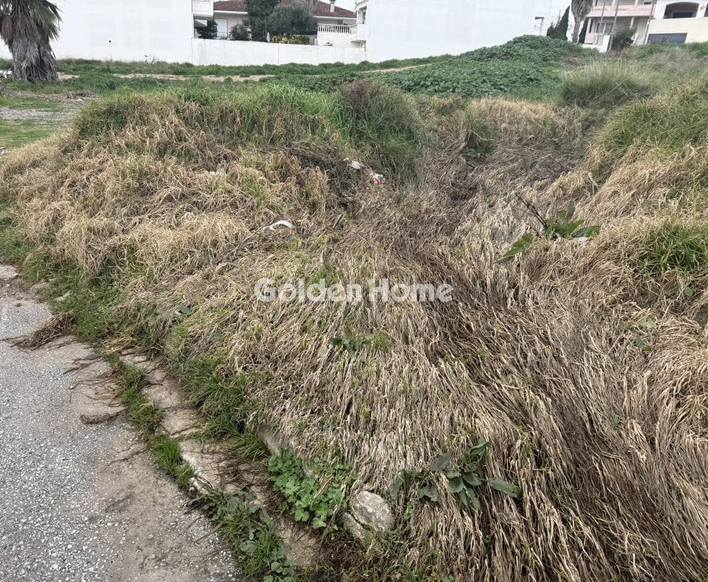 Building Plot in Center, Markopoulo — Photo 6 of 12
