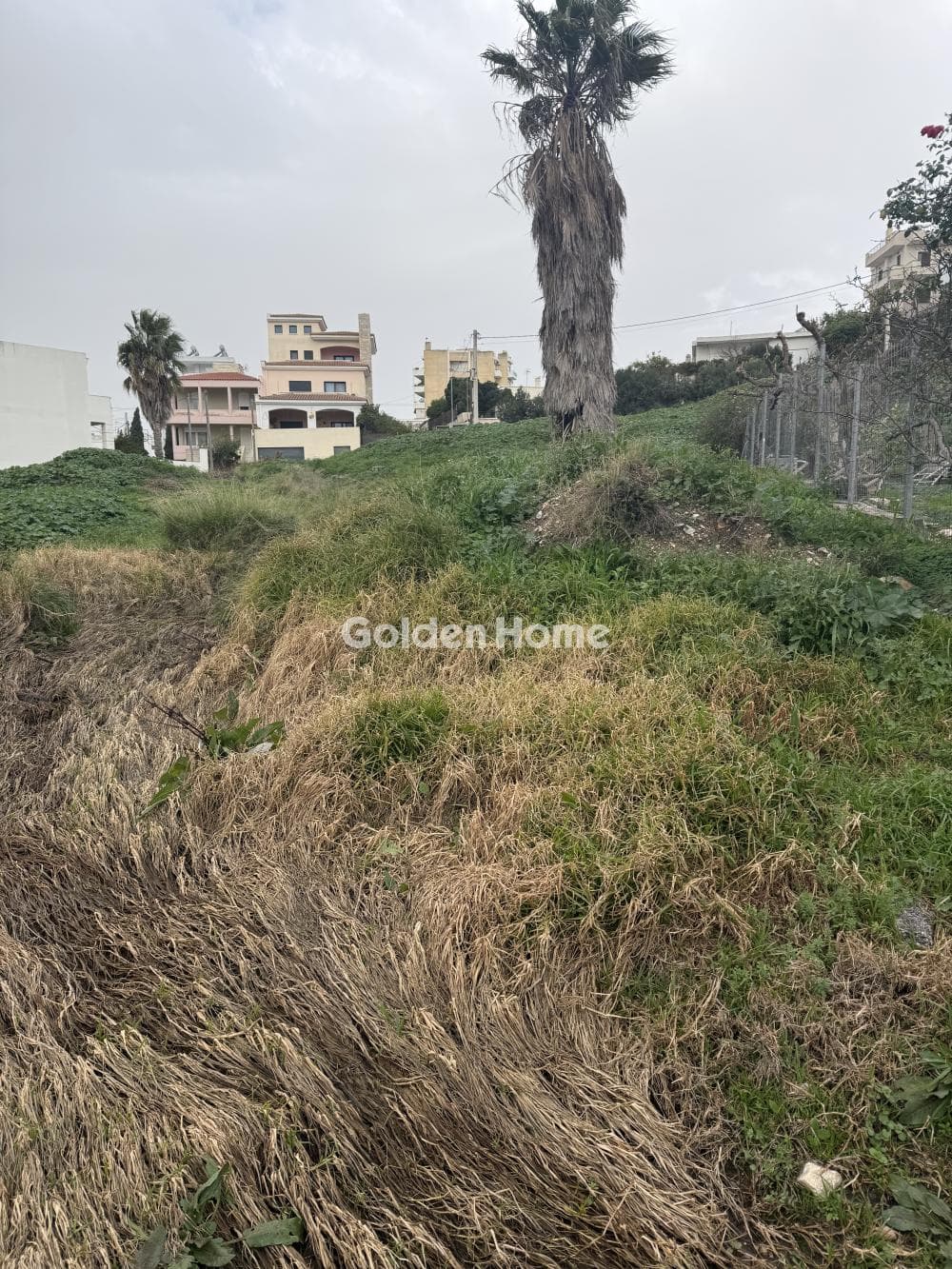 Building Plot in Center, Markopoulo — Photo 10 of 12