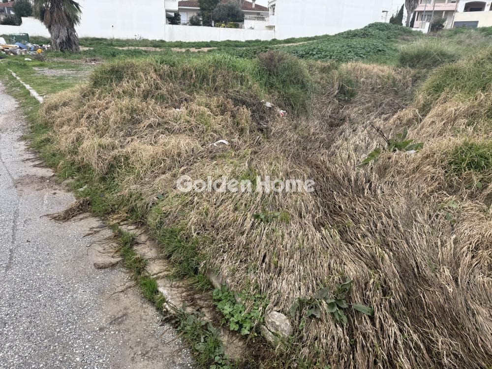 Building Plot in Center, Markopoulo — Photo 11 of 12