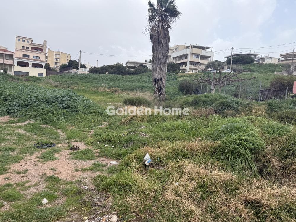 Building Plot in Center, Markopoulo — Photo 4 of 12