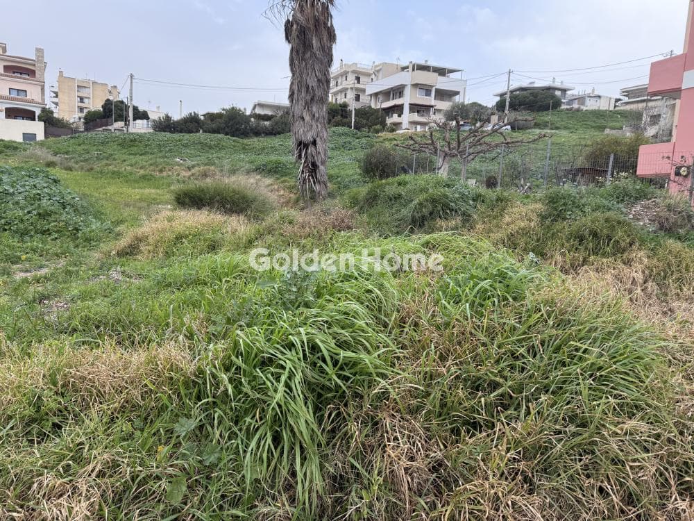Building Plot in Center, Markopoulo — Photo 12 of 12