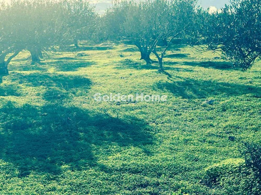 Building Plot in Center, Gouves — Photo 2 of 5
