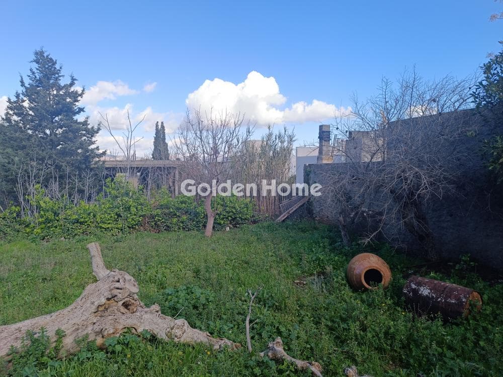 House in Neapoli, Spata — Photo 4 of 16