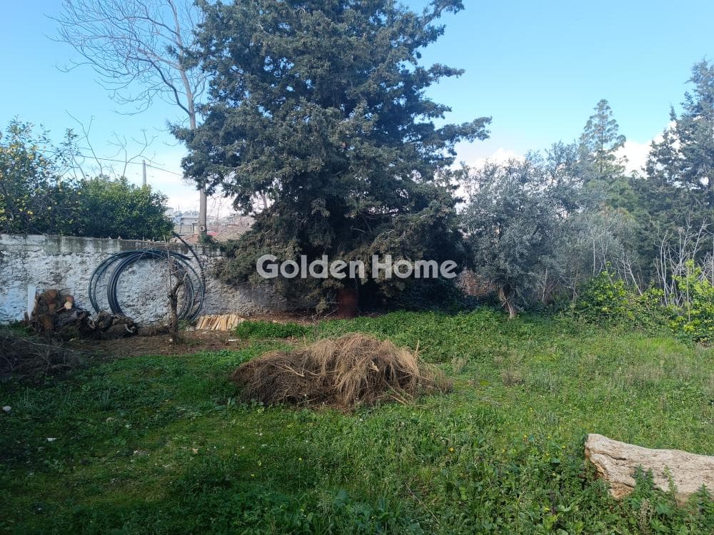 House in Neapoli, Spata — Photo 13 of 16