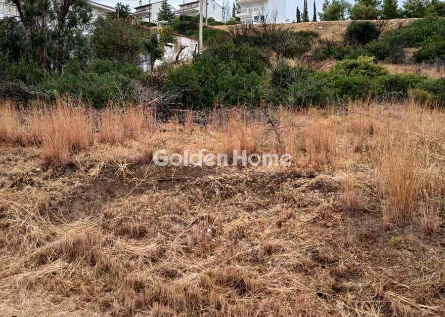 Building Plot in Panorama, Pikermi