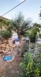 Μονοκατοικία στην Βορινέζα, Αρτέμιδα (Λούτσα) — Φωτογραφία 3 από 7