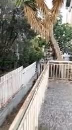 Μονοκατοικία στην Βορινέζα, Αρτέμιδα (Λούτσα) — Φωτογραφία 2 από 7