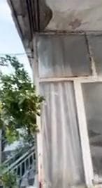 Μονοκατοικία στην Βορινέζα, Αρτέμιδα (Λούτσα) — Φωτογραφία 4 από 7