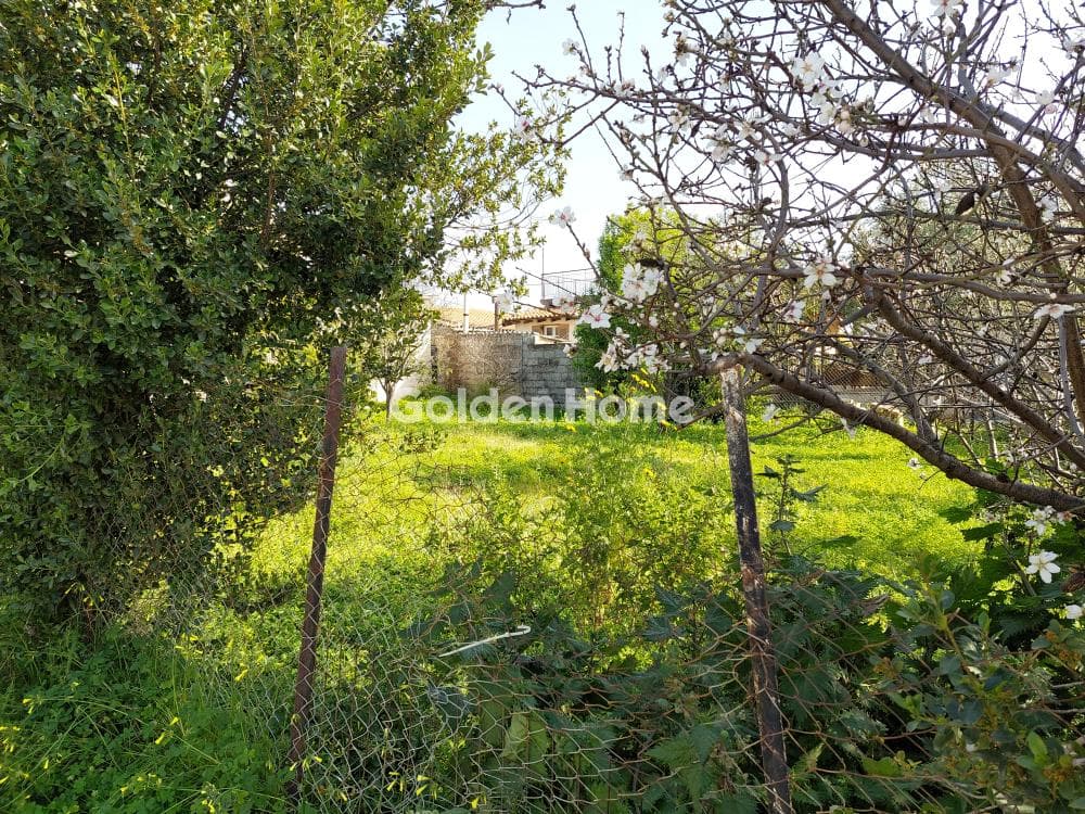 Οικόπεδο στην Άγιος Σεραφείμ, Αρτέμιδα (Λούτσα) — Φωτογραφία 1 από 4