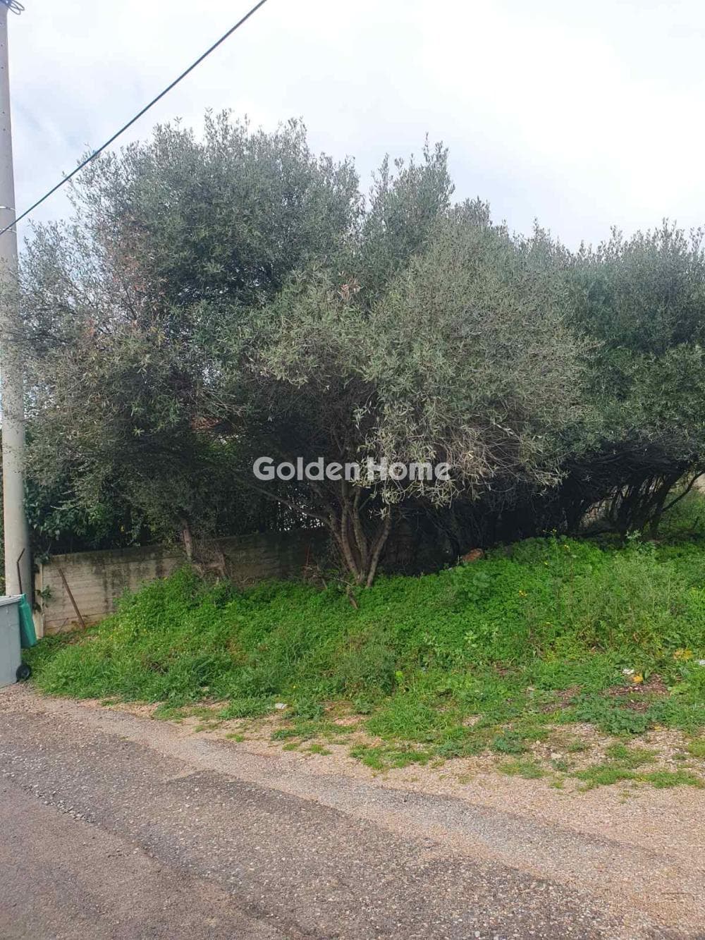 Building Plot in Agia Paraksevi, Anoixi — Photo 2 of 3
