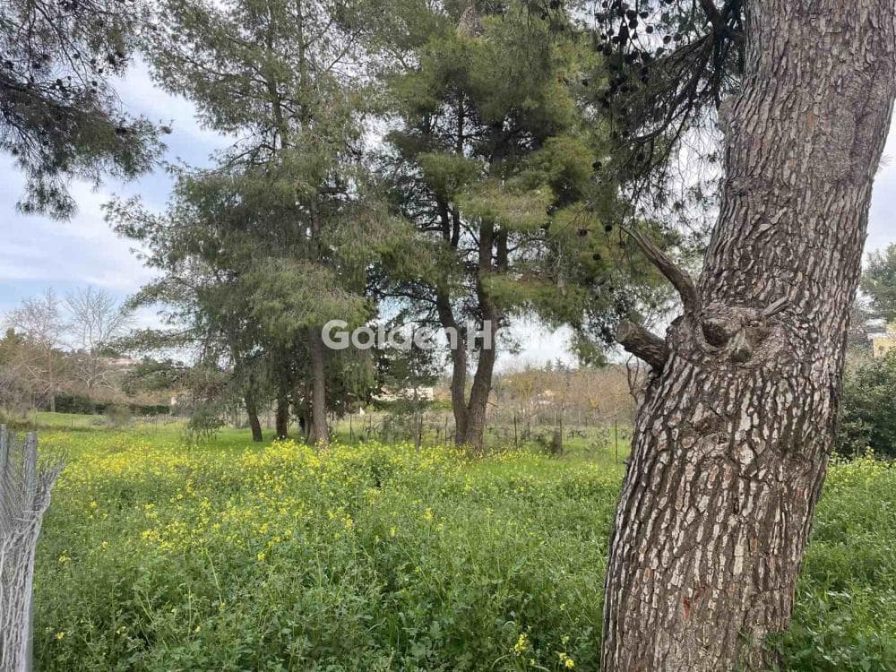 Οικόπεδο στην Δροσιά, Δροσιά — Φωτογραφία 4 από 12