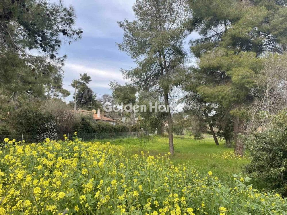 Οικόπεδο στην Δροσιά, Δροσιά — Φωτογραφία 6 από 12