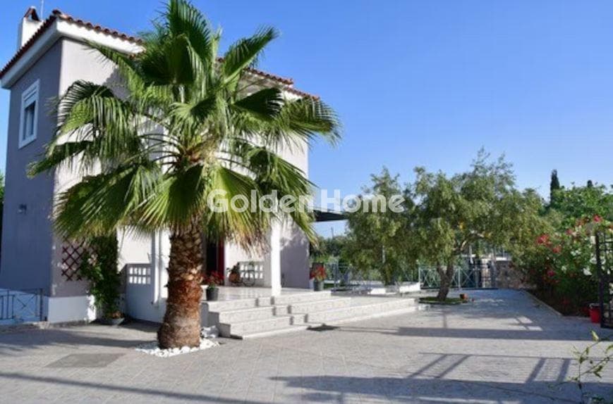 Μονοκατοικία στην Κυψέλη, Αίγινα — Φωτογραφία 64 από 64